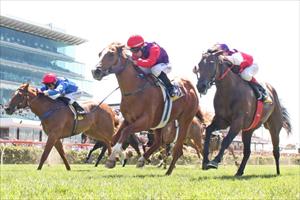 Punters support Running Tall